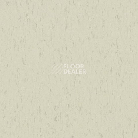 Линолеум Forbo Marmoleum Solid Piano 3650-365035 polar bear фото 1 | FLOORDEALER